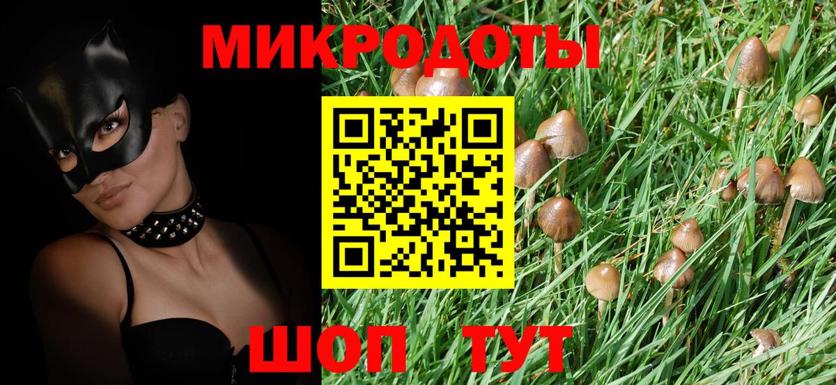 Галлюциногенные грибы Cubensis Отрадный