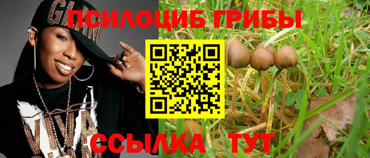 Псилоцибиновые грибы GOLDEN TEACHER  Вход с VPN  Отрадный  Псилоцибиновые грибы мухоморы 